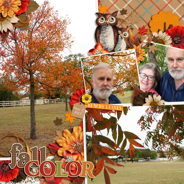 Fall Color