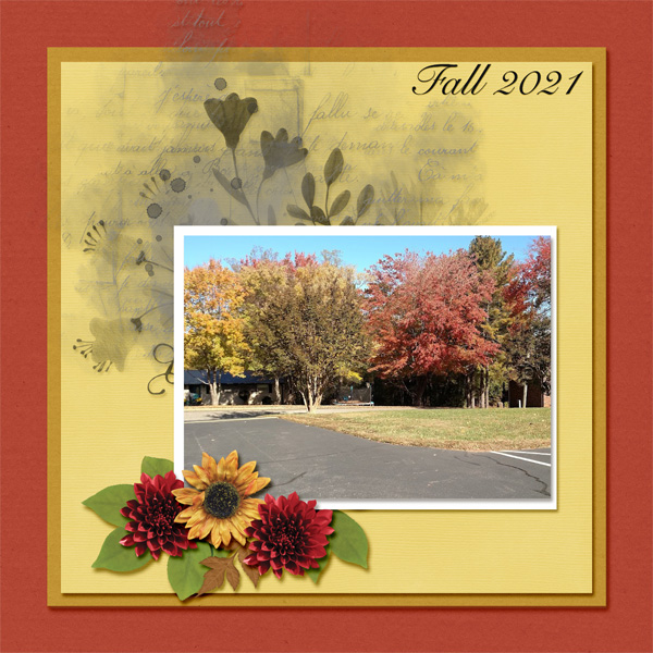 Fall Color
