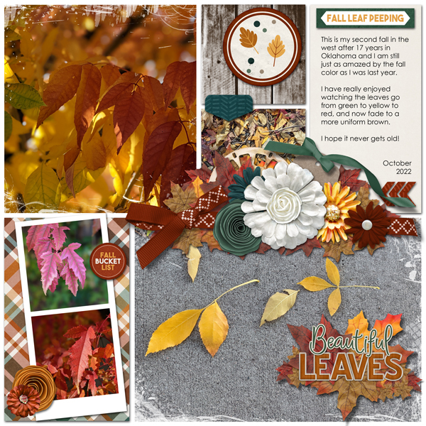 Fall Color