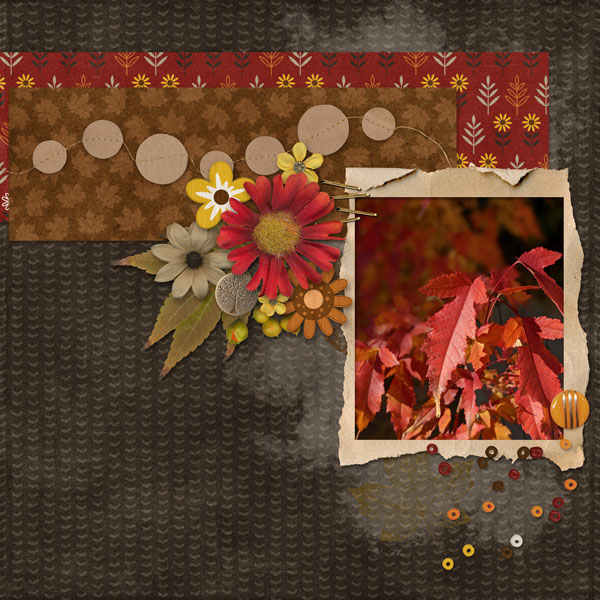 Fall Color