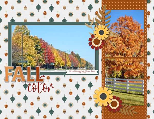 Fall Color