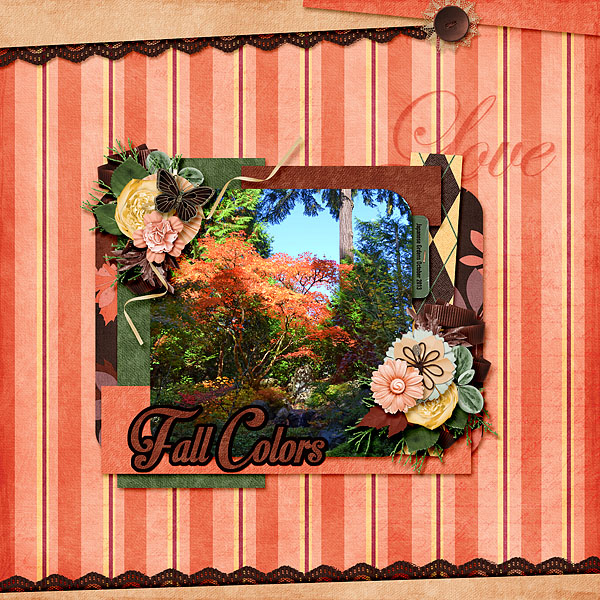 Fall Colors