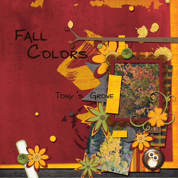 Fall Colors
