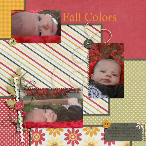 Fall Colors