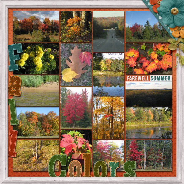 Fall Colors