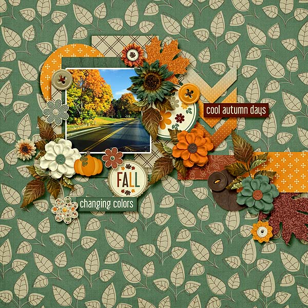 Fall Colors