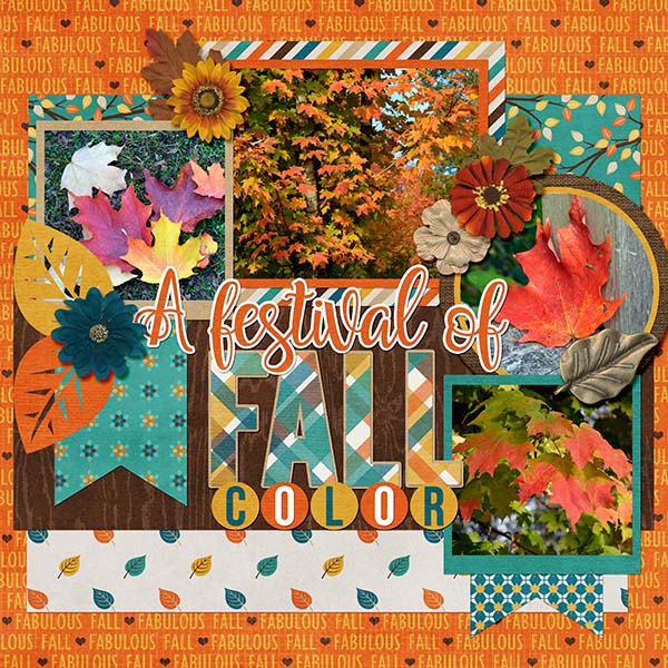 Fall Colors