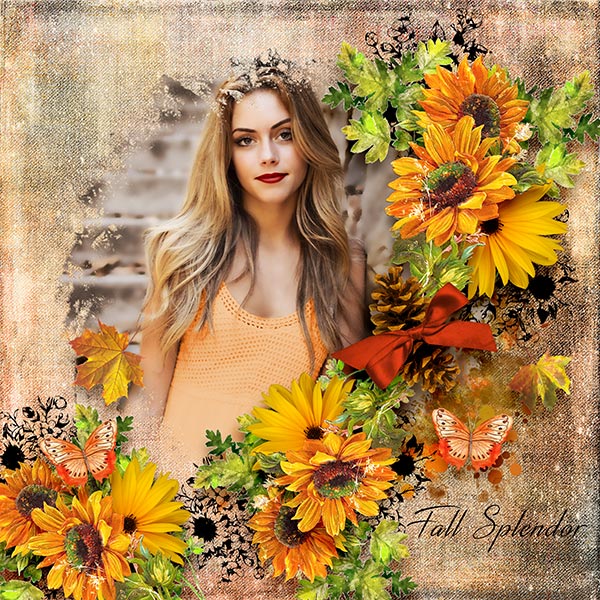 Fall Colors