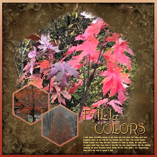 Fall Colors
