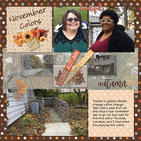 Fall Colors
