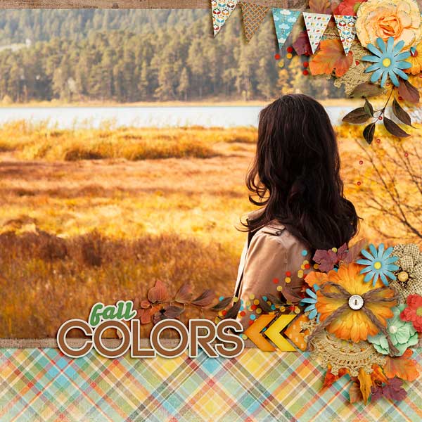 Fall Colors