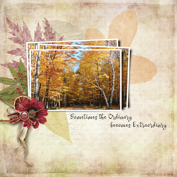 Fall Colors