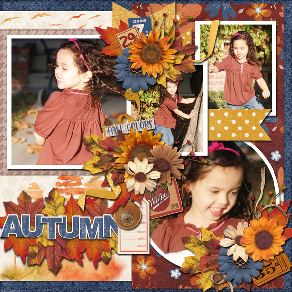 Fall Colors