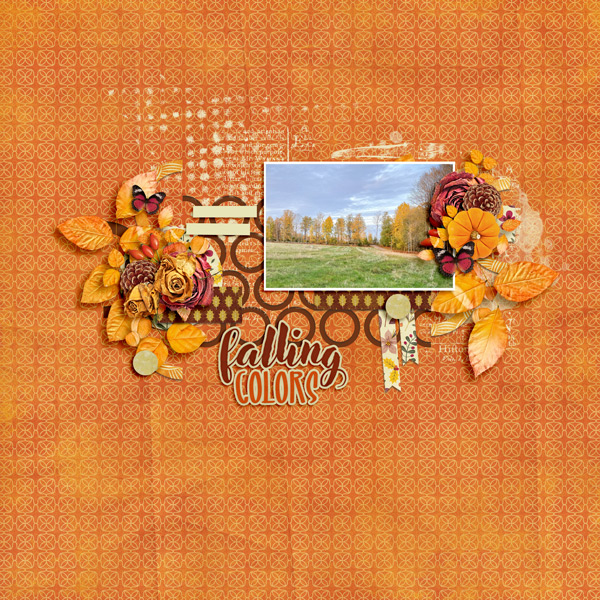Fall Colors