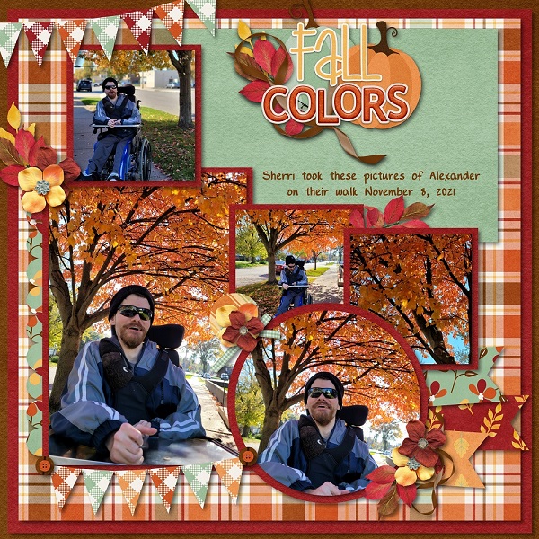 Fall Colors