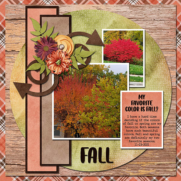 Fall Colors