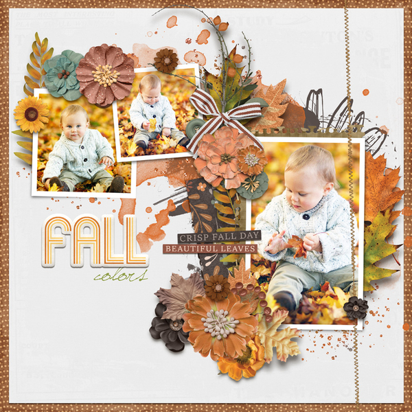 Fall Colors
