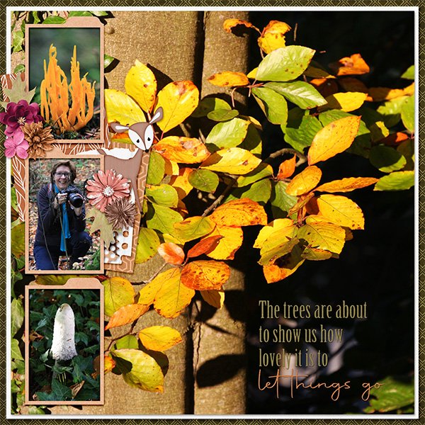 Fall colors