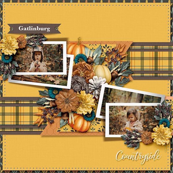 Fall Countryside