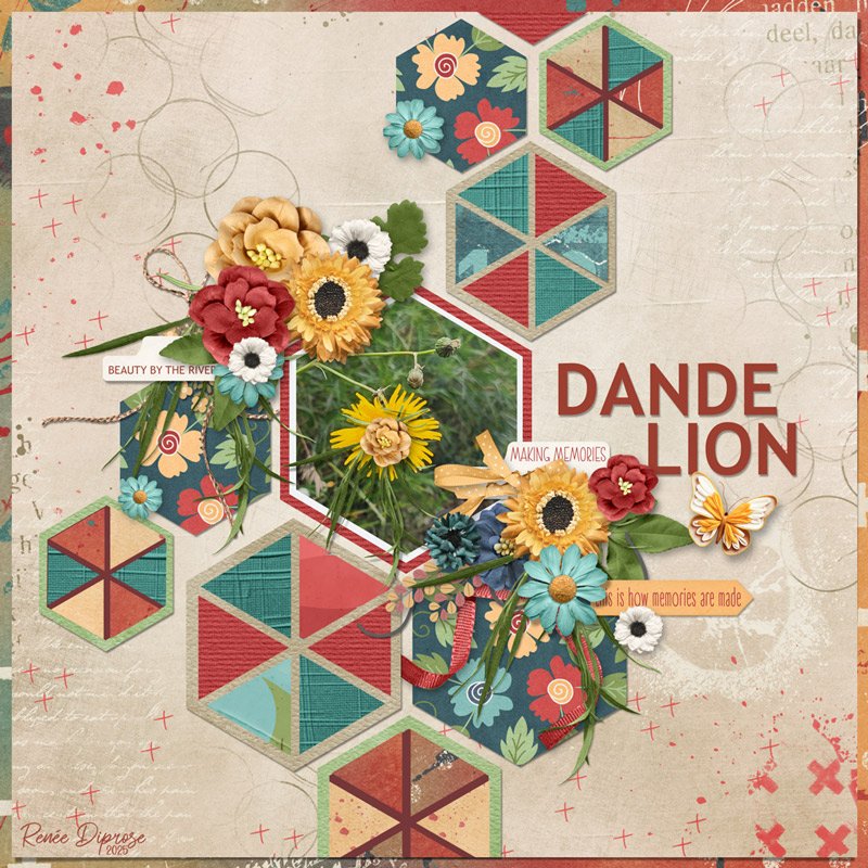 Fall Dandelion