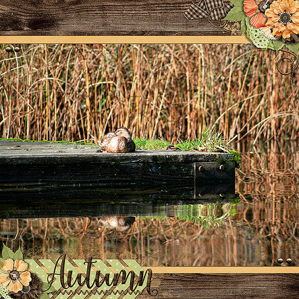 Fall Day 2016