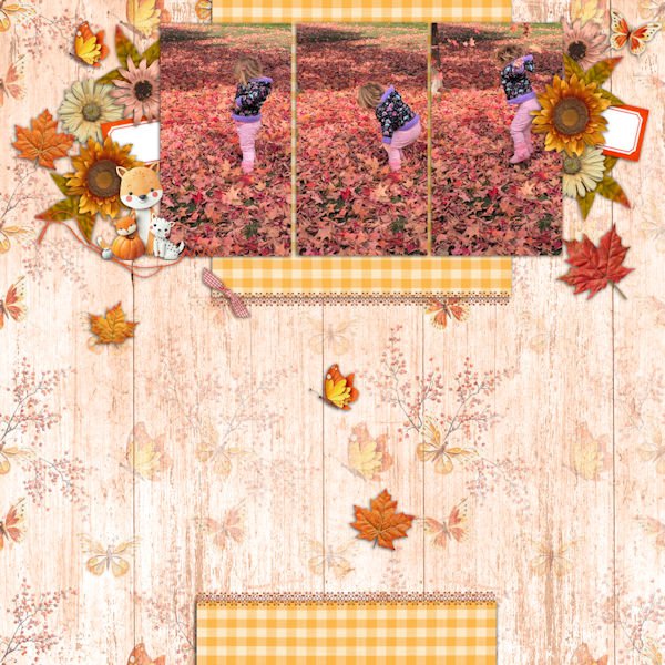 Fall Day