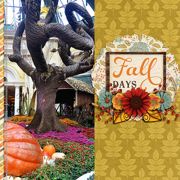 fall days