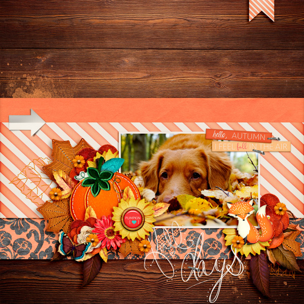 Fall Days
