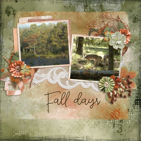 Fall days