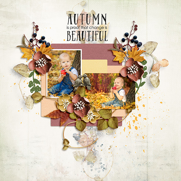 Fall Delight