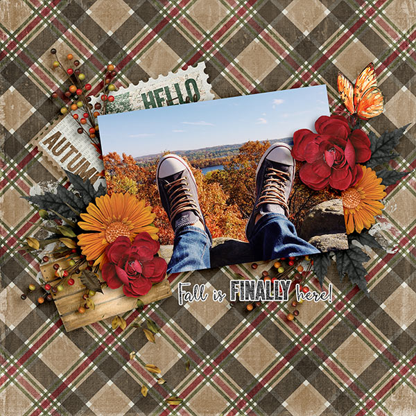 Fall Enjoyment