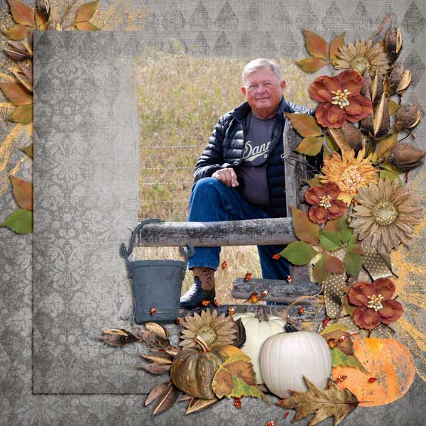 Fall Farm