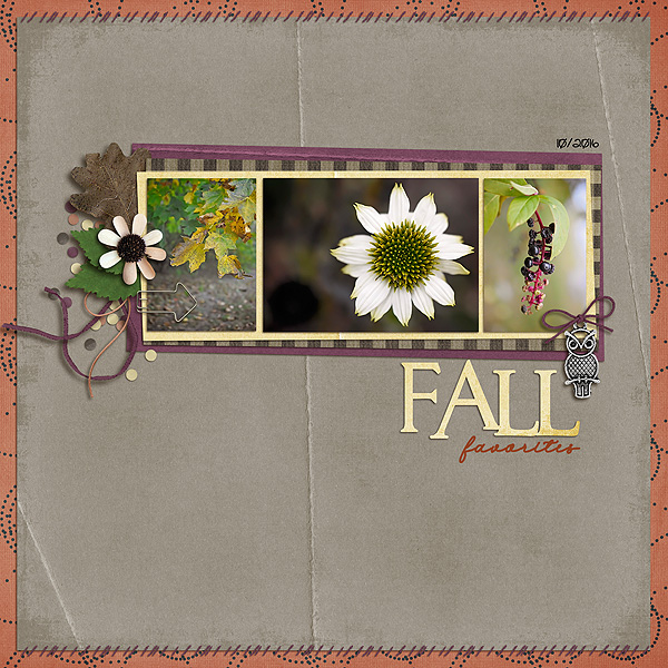 Fall Favorites