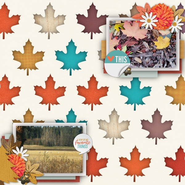 Fall favorites