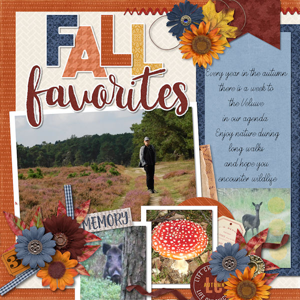 Fall Favorites