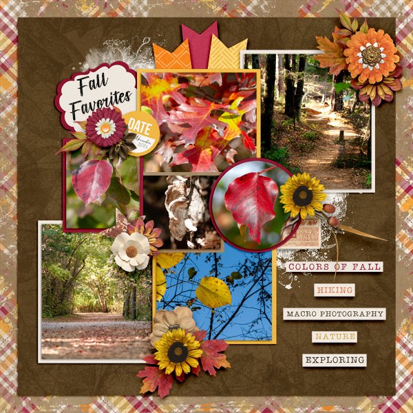Fall Favorites