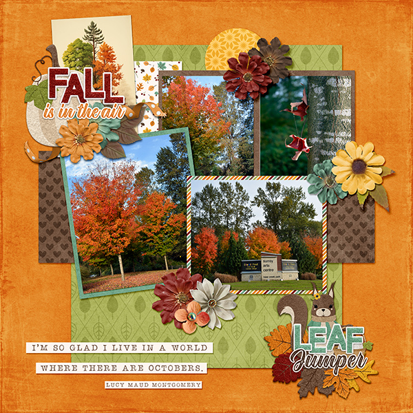 Fall Favourites