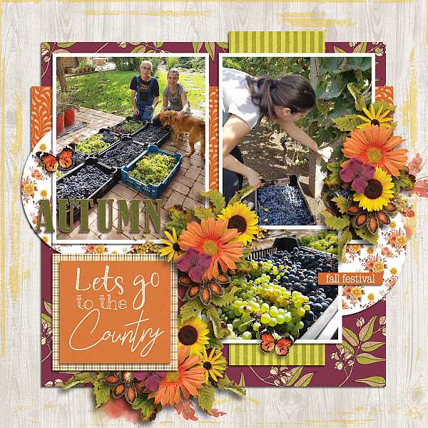 Fall festival