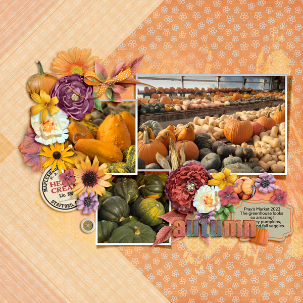 Fall Festival