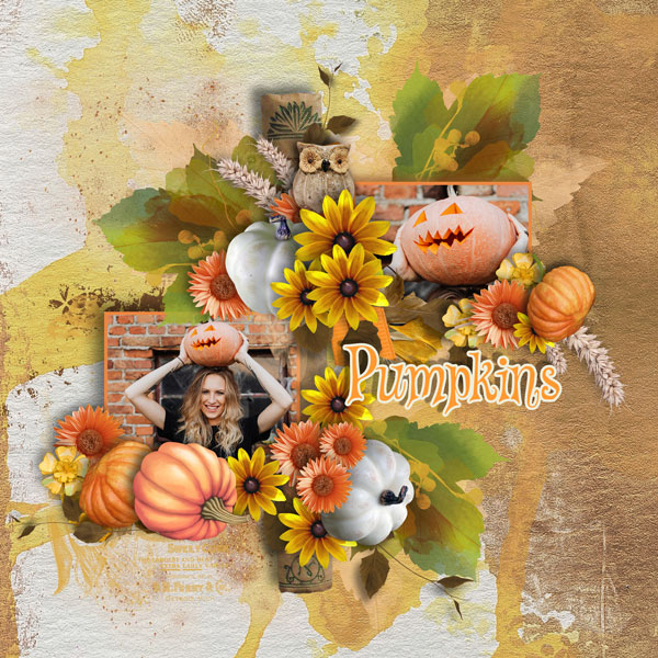 Fall Festival