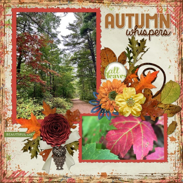 Fall Festival