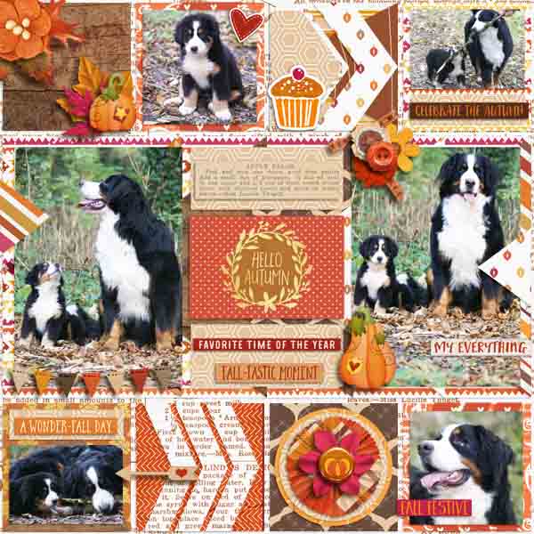 Fall Festive