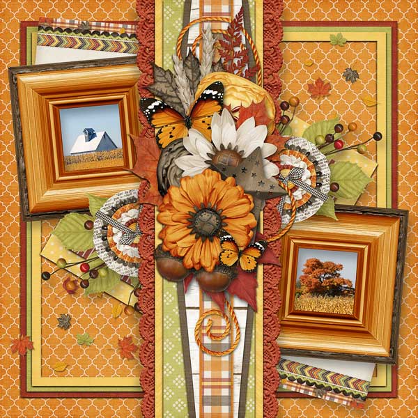 Fall Fields