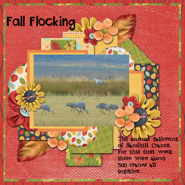 Fall Flocking