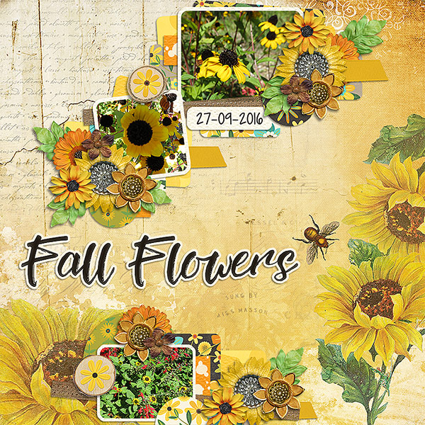 Fall Flowers