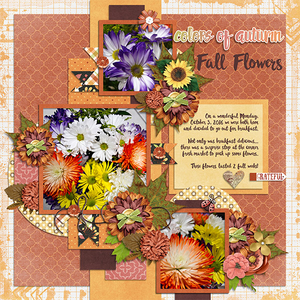 Fall Flowers