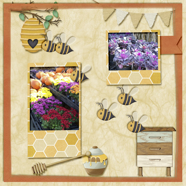 Fall Flowers