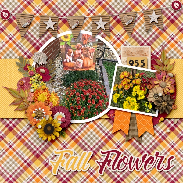 Fall Flowers
