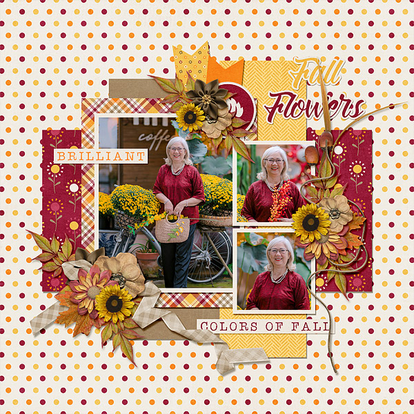 Fall Flowers