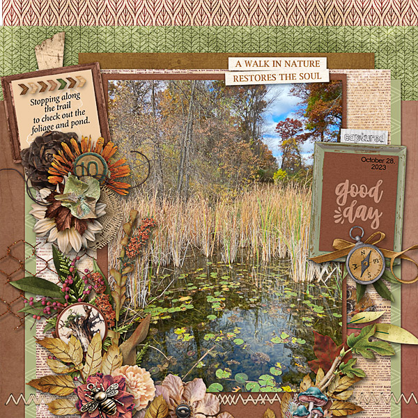Fall Foliage and Pond
